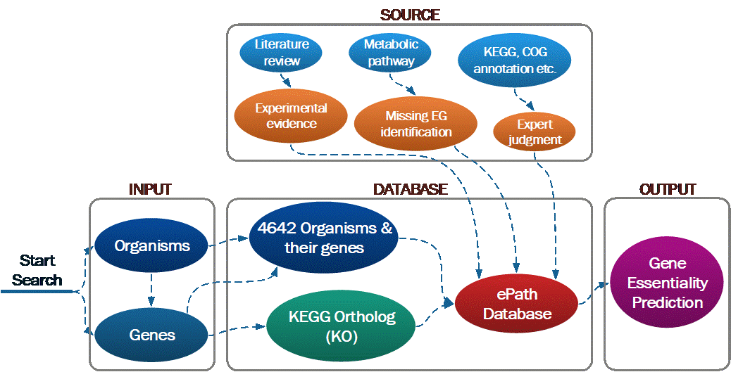 Database overview